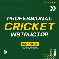 Let's Play Cricket Linkedin Post Image Preview