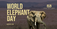 World Elephant Day Facebook Ad Design