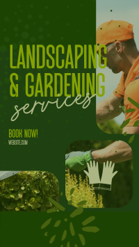 Landscaping & Gardening TikTok Video Preview