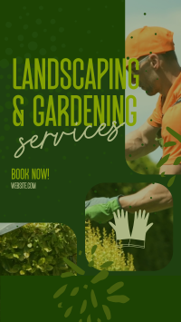 Landscaping & Gardening TikTok Video Image Preview