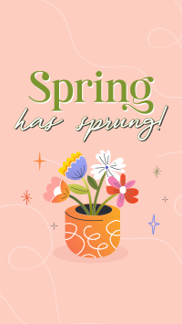 Spring Flower Pot Video Image Preview