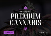 High Quality Cannabis Postcard Design
