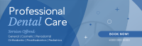 Professional Dental Care Services Twitter Header Preview