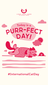 International Cat Day Instagram Reel Design