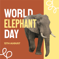 Save Elephants Instagram Post Design