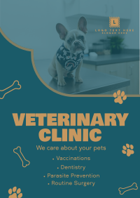 Professional Veterinarian Clinic Poster Image Preview