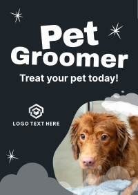 Professional Pet Groomer Poster Image Preview