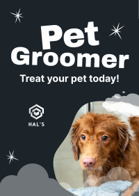 Professional Pet Groomer Poster Image Preview