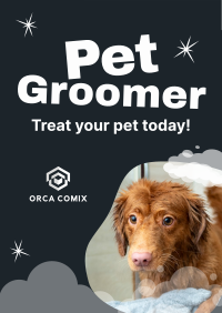 Professional Pet Groomer Poster Design