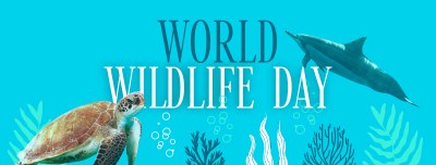 Aquatic Wildlife  Facebook cover Image Preview