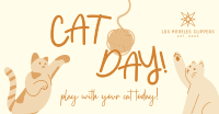 Cat Playtime Facebook Ad Design