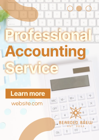 Professional Accounting Service Poster Image Preview