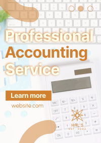 Professional Accounting Service Poster Image Preview