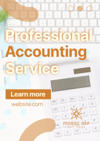 Professional Accounting Service Poster Image Preview