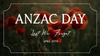 Poppy Flower Anzac Day Video Image Preview