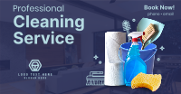The Professional Cleaner Facebook ad Image Preview