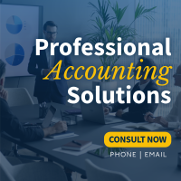 Professional Accounting Solutions Instagram post Image Preview