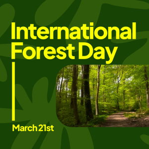 Forest Day Greeting Instagram post Image Preview
