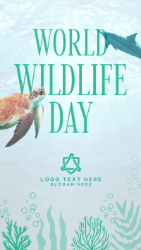 Aquatic Wildlife  Facebook Story Design