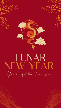 Lunar New Year TikTok Video Design