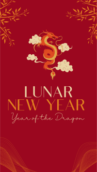 Lunar New Year TikTok Video Preview