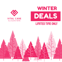 Winter Deals Instagram post Image Preview