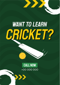 Time to Learn Cricket Flyer Design