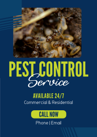 Professional Pest Control Flyer Image Preview