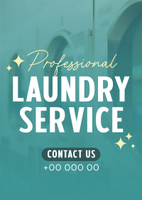 Professional Laundry Service Flyer Image Preview