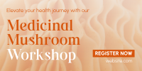 Minimal Medicinal Mushroom Workshop Twitter post Image Preview