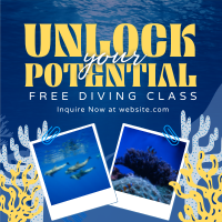 Free Diving Class Linkedin Post Preview