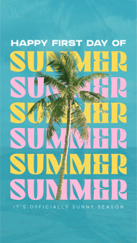 Summer Palm Tree Instagram story Image Preview