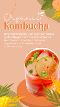 Probiotic Kombucha Instagram Reel Image Preview