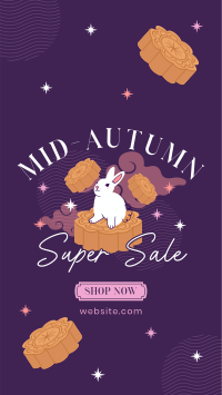 Rabbit on a Mooncake Sale Video Image Preview