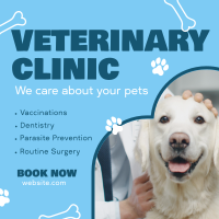 Professional Veterinarian Clinic Instagram post Image Preview