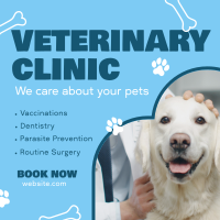 Professional Veterinarian Clinic Instagram Post Design