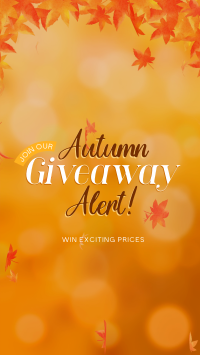 Autumn Giveaway Alert TikTok Video Design