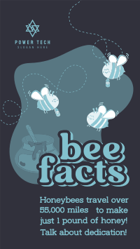 Honey Bee Facts Instagram Story Design