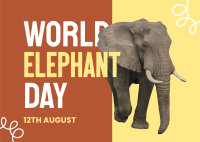Save Elephants Postcard Design