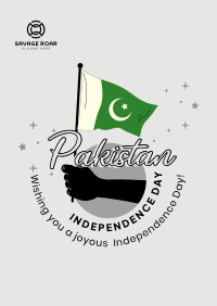 Raise Pakistan Flag Poster Image Preview