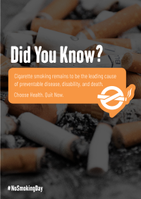 Smoking Facts Flyer Image Preview