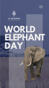 World Elephant Celebration Instagram Story Design
