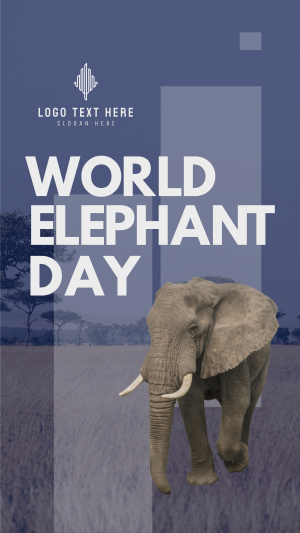 World Elephant Celebration Instagram story Image Preview