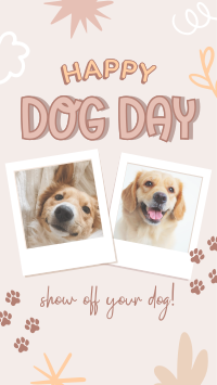 Doggy Photo Book Facebook Story Design