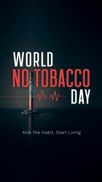 No Tobacco Day Video Preview