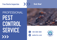 Professional Pest Control Postcard Image Preview