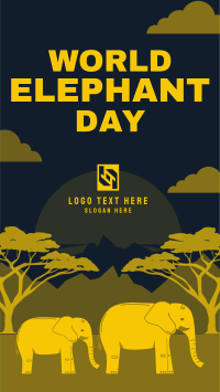 Amazing Elephants Instagram Story Design