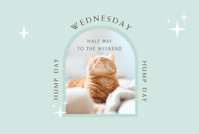 Wednesday Hump Day Pinterest board cover Image Preview