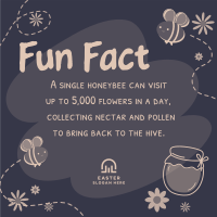 Bee Day Fun Fact Instagram Post Image Preview