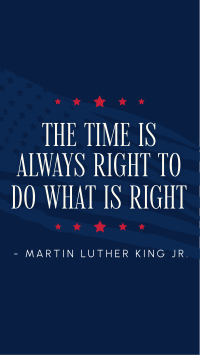 Civil Rights Flag TikTok video Image Preview